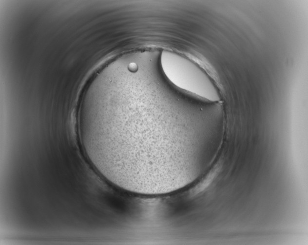 X0000088450798200706051305