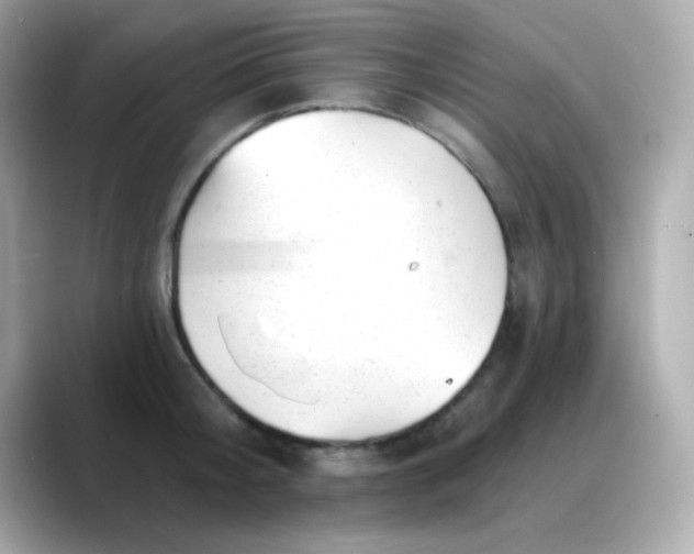 X0000088450804200706051305