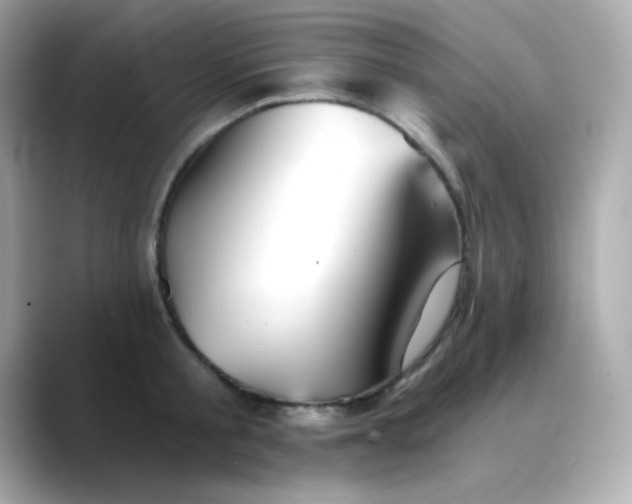 X0000088450805200706051305