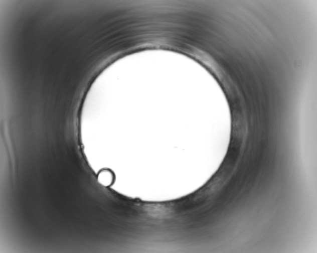 X0000088450807200706051305