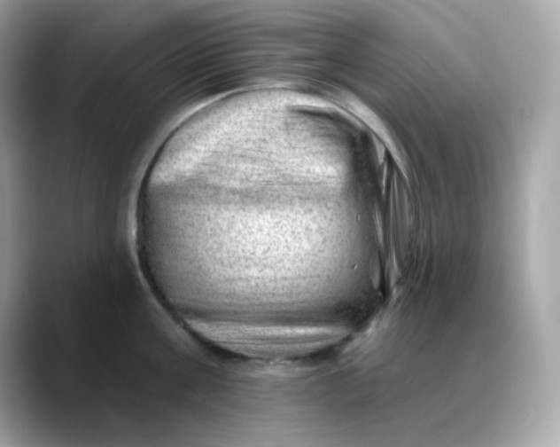 X0000088450811200706051305
