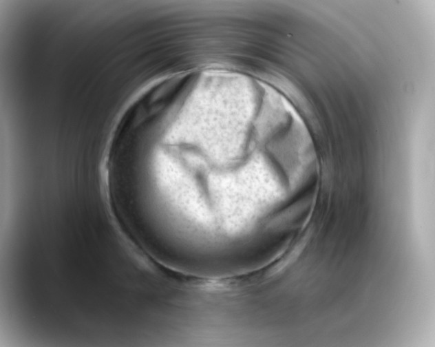 X0000088450814200706051305