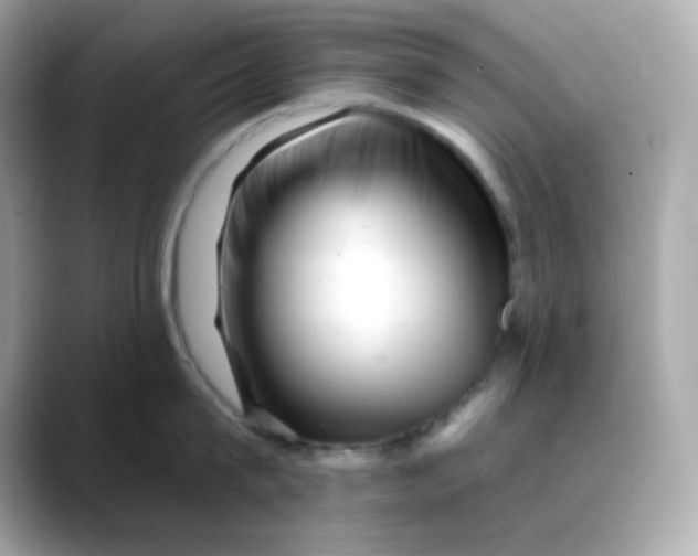 X0000088450815200706051305
