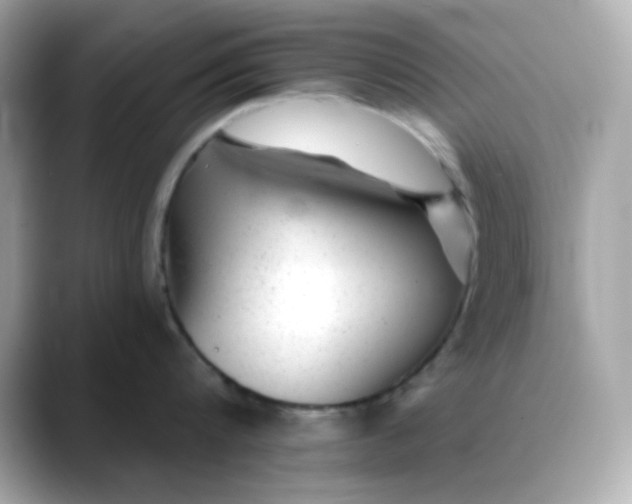 X0000088450816200706051305