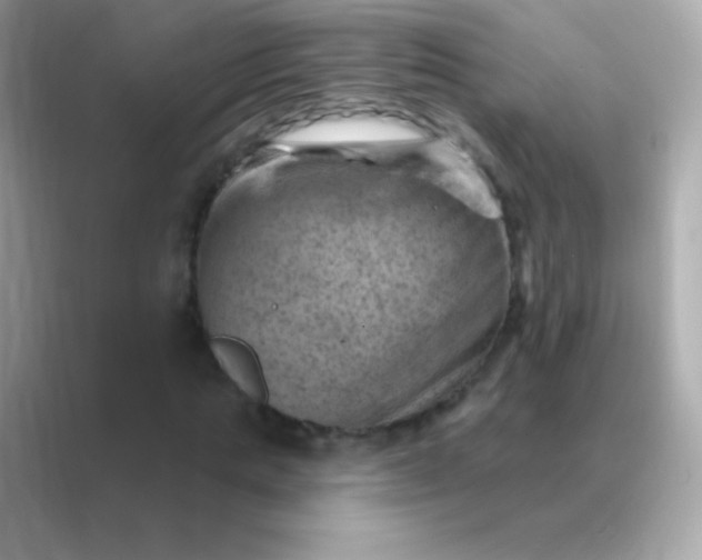 X0000088450821200706051304