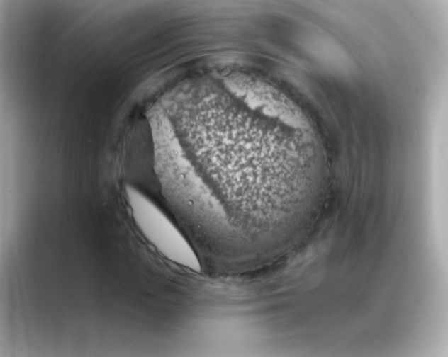 X0000088450823200706051304