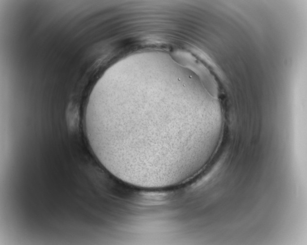 X0000088450825200706051304