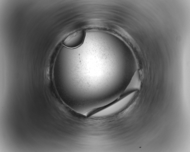 X0000088450830200706051305