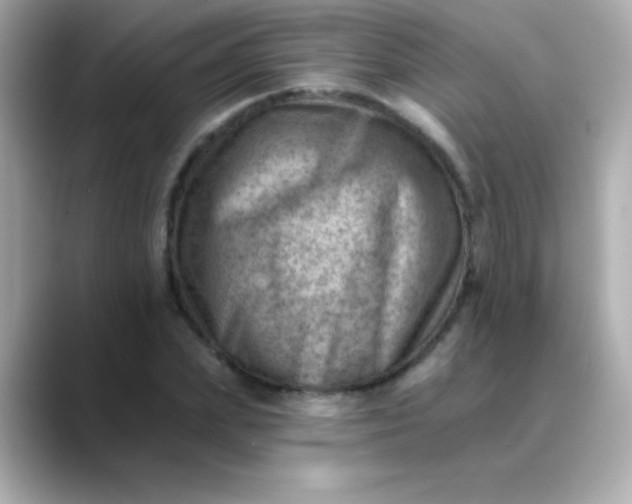 X0000088450831200706051305