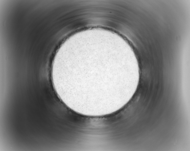 X0000088450832200706051305