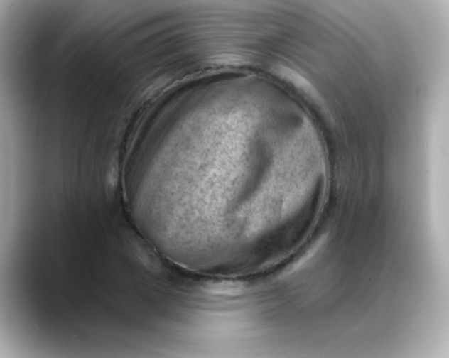 X0000088450833200706051305