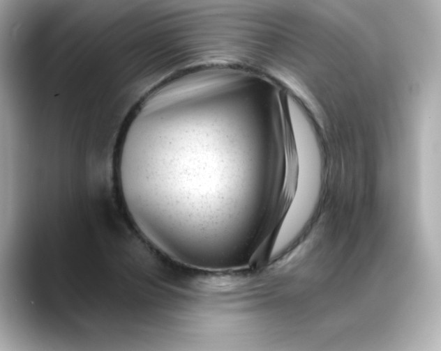 X0000088450834200706051305