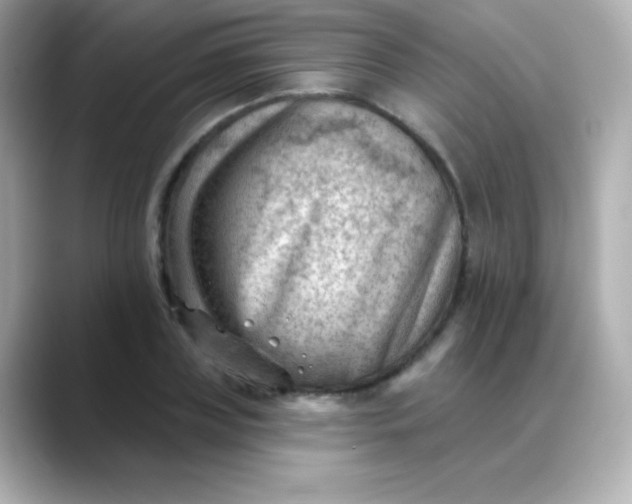 X0000088450835200706051305