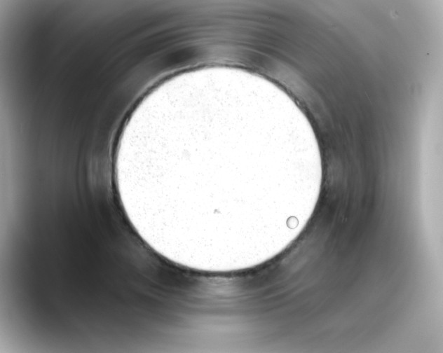 X0000088450836200706051305