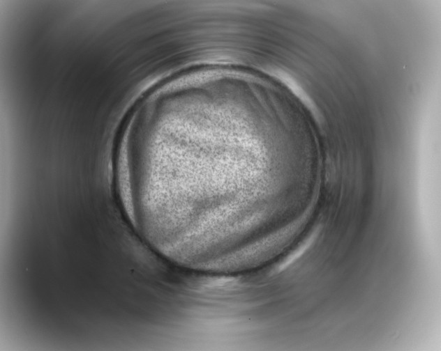 X0000088450837200706051305
