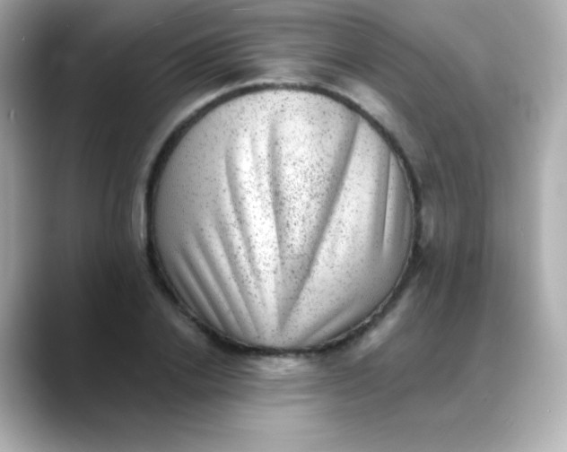 X0000088450838200706051305