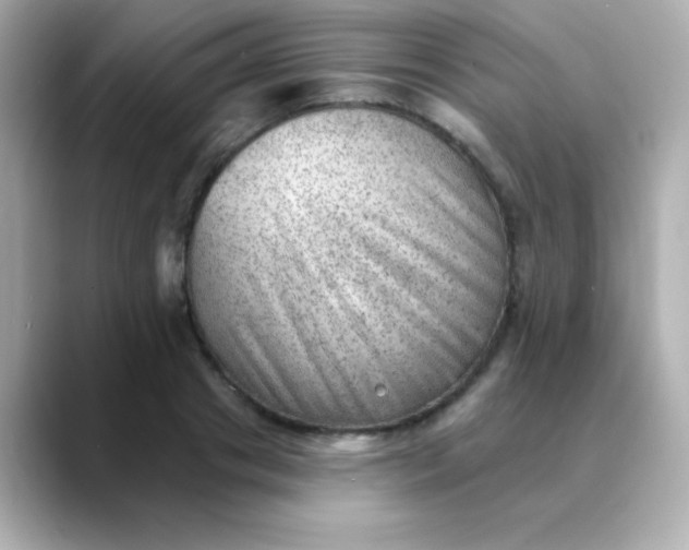 X0000088450841200706051305