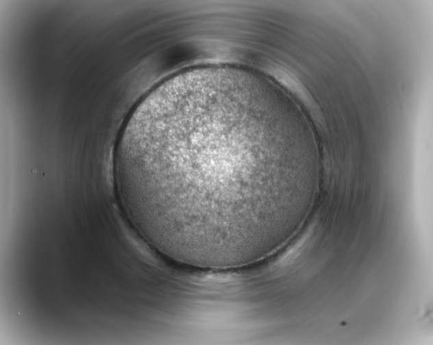 X0000088450842200706051305