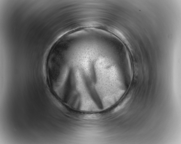 X0000088450843200706051305