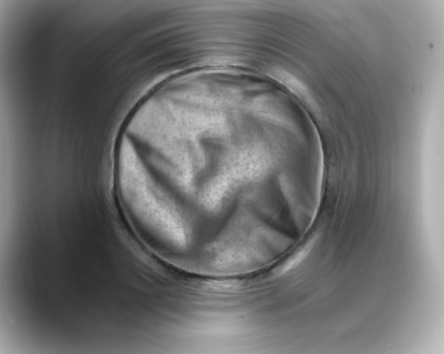 X0000088450844200706051305