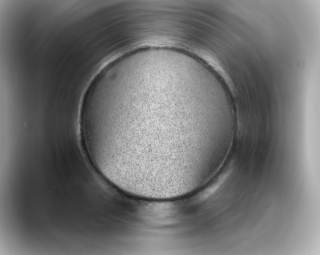 X0000088450845200706051305