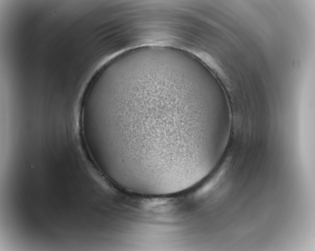 X0000088450846200706051305
