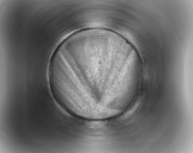 X0000088450847200706051305