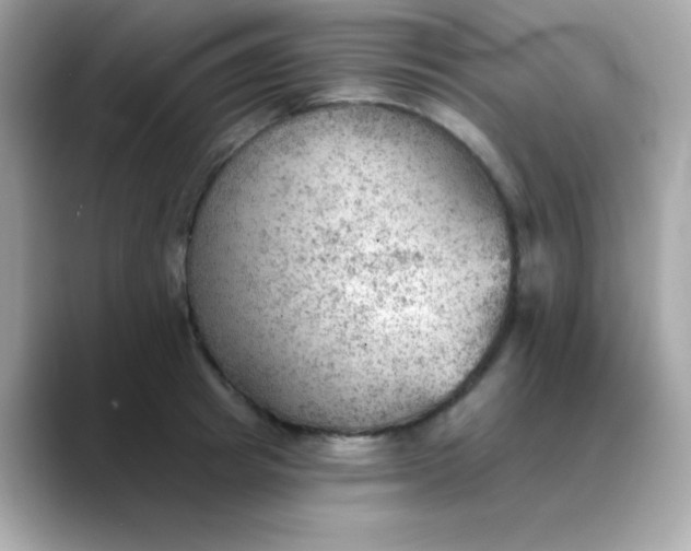 X0000088450849200706051305