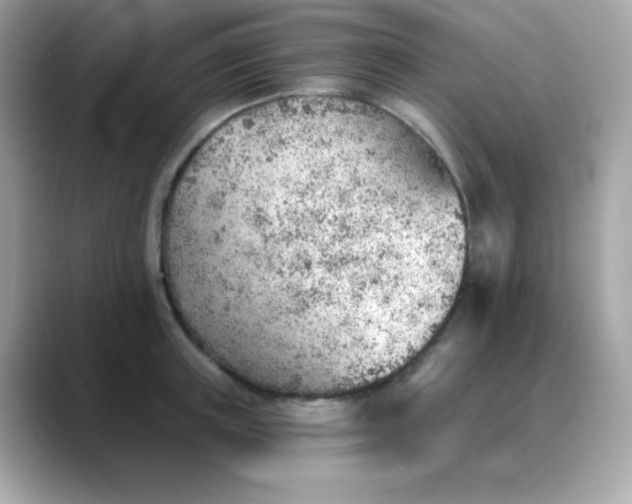 X0000088450851200706051305