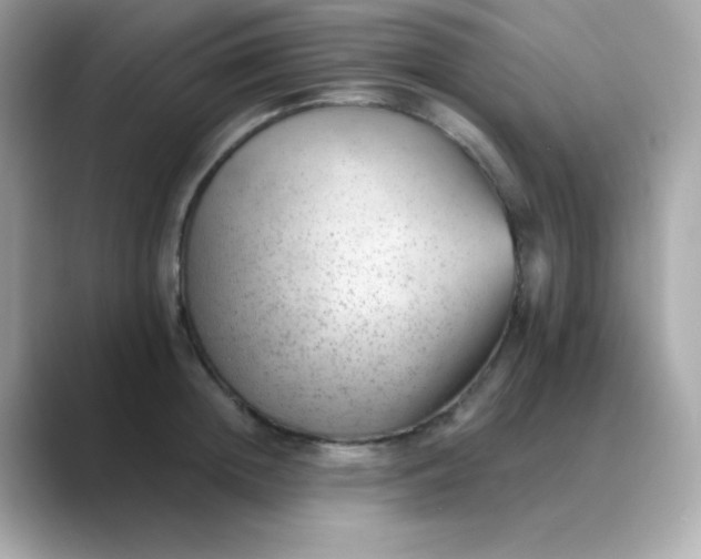 X0000088450852200706051305