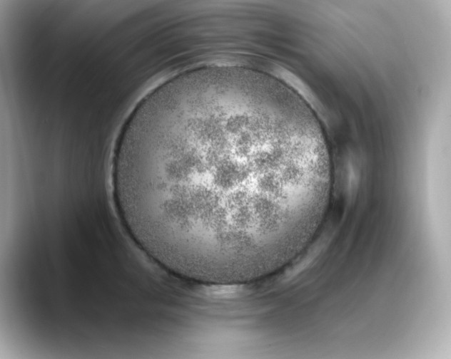 X0000088450853200706051305