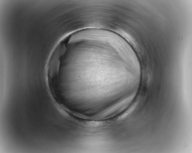 X0000088450854200706051305