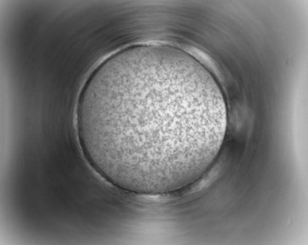 X0000088450855200706051305