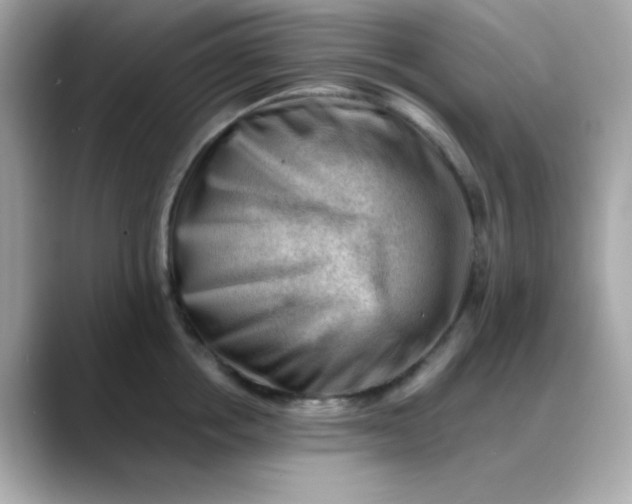 X0000088450858200706051305