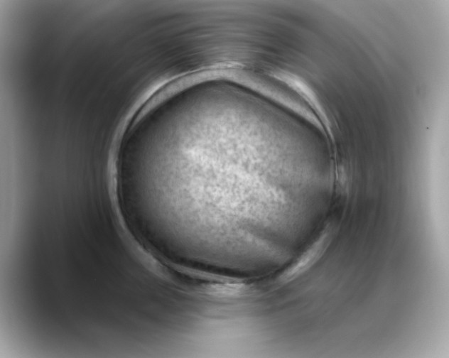 X0000088450859200706051305