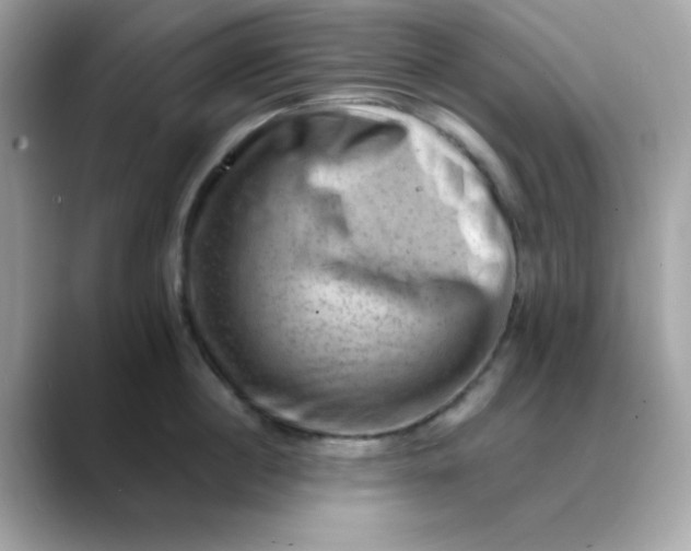 X0000088450860200706051305