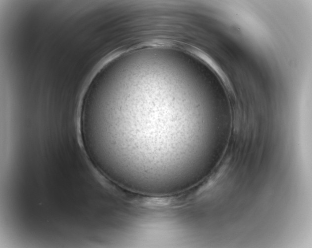 X0000088450861200706051305