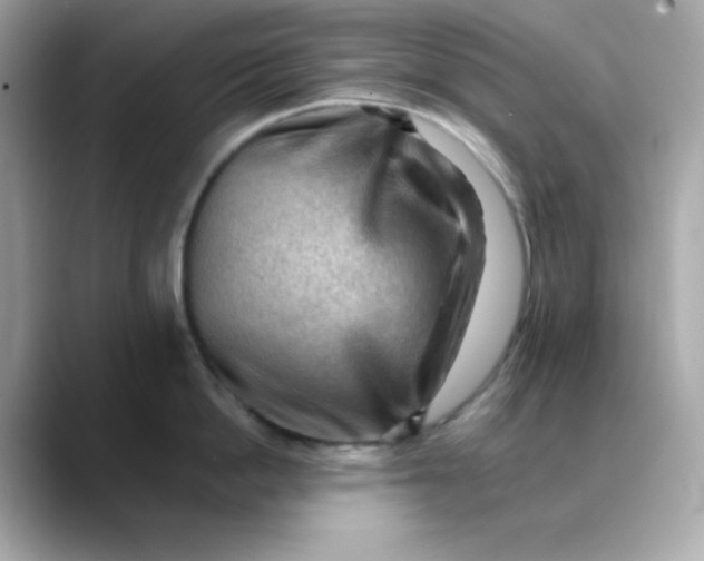 X0000088450862200706051305