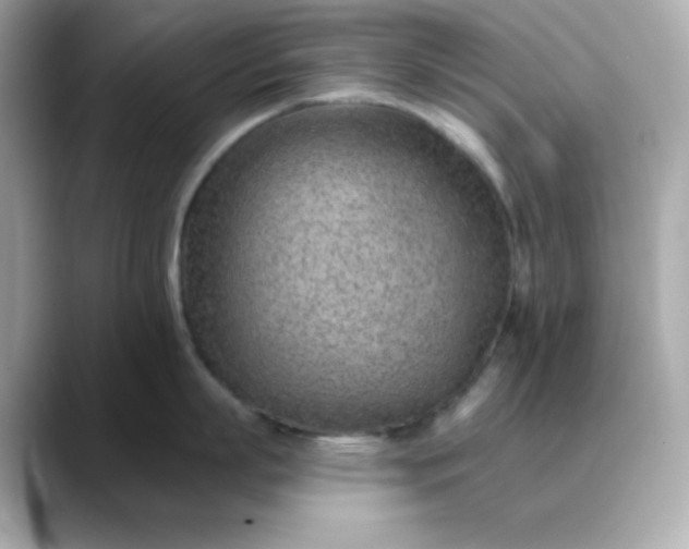 X0000088450863200706051305