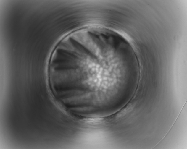 X0000088450864200706051305