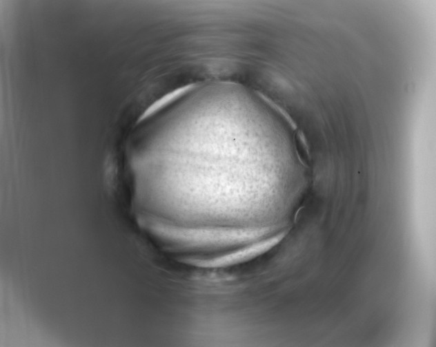 X0000088450866200706051304