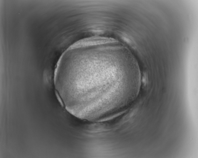 X0000088450867200706051304