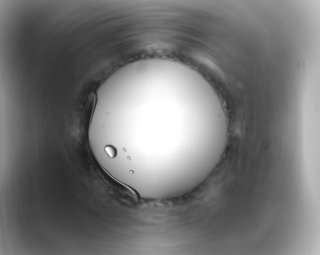 X0000088450869200706051304