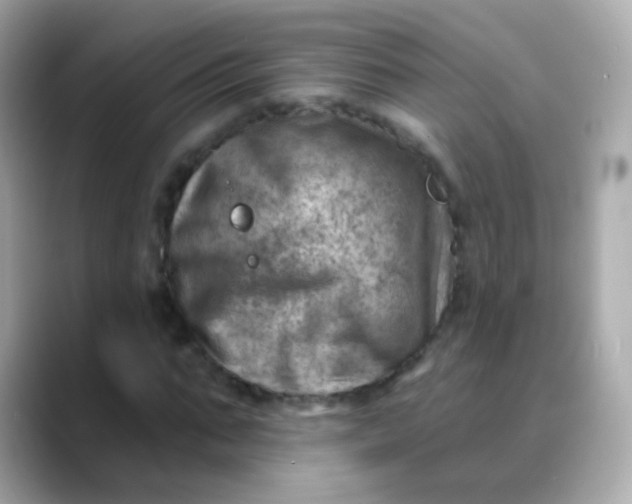 X0000088450871200706051304