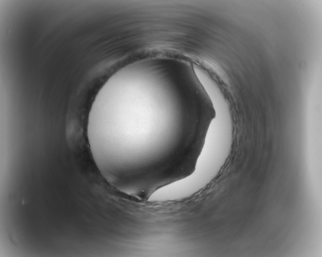 X0000088450872200706051304