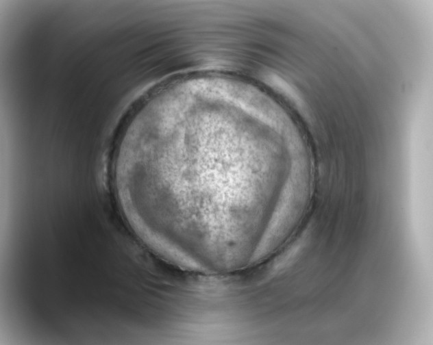 X0000088450875200706051304