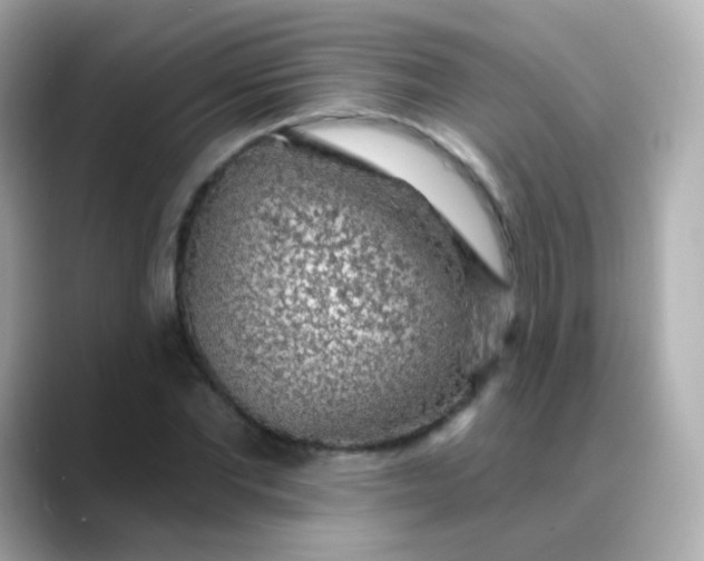 X0000088450877200706051304