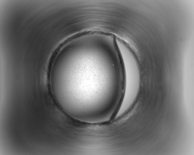 X0000088450880200706051304