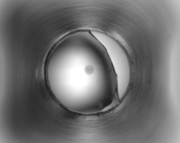 X0000088450884200706051304