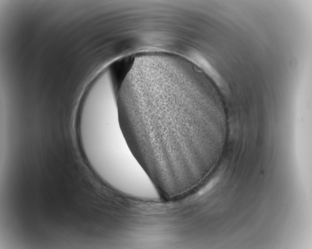 X0000088450885200706051304